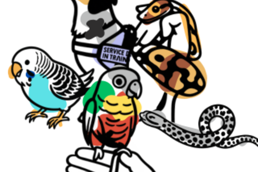 Rolling Out "Wild Wellness" Events - Introducing the "Staff"